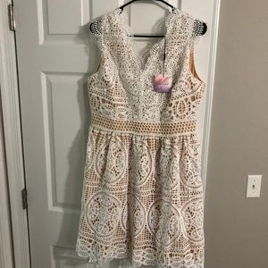 Chicwish lace dress
